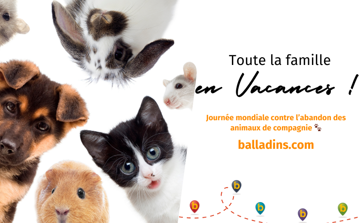 Journée Mondiale de Lutte contre les Abandons d'Animaux de Compagnie