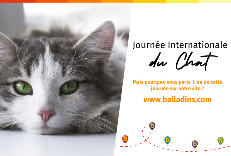 Journée Internationale du chat