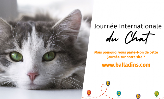 Journée Internationale du chat